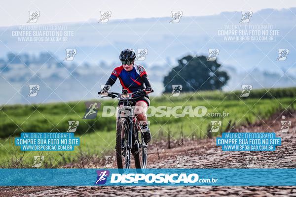 Foto 6807188