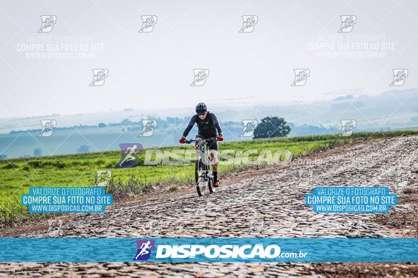 Foto 6807200