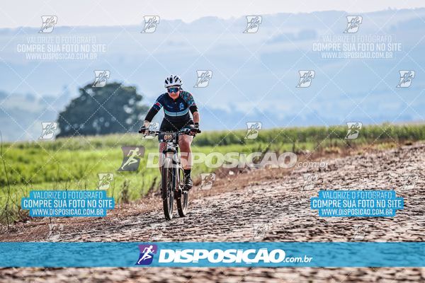 Foto 6807205