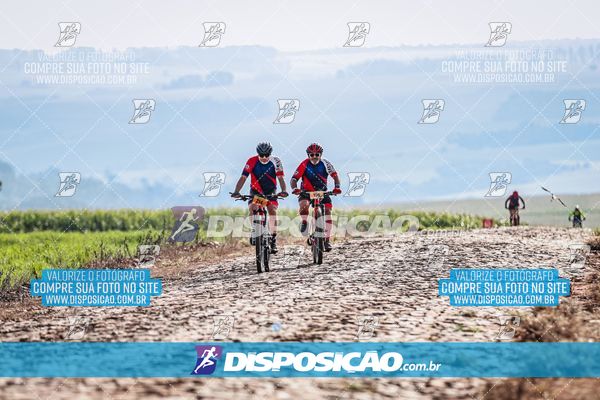 Foto 6807206