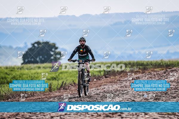 Foto 6807226