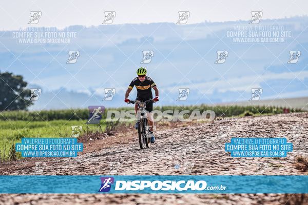 Foto 6807235