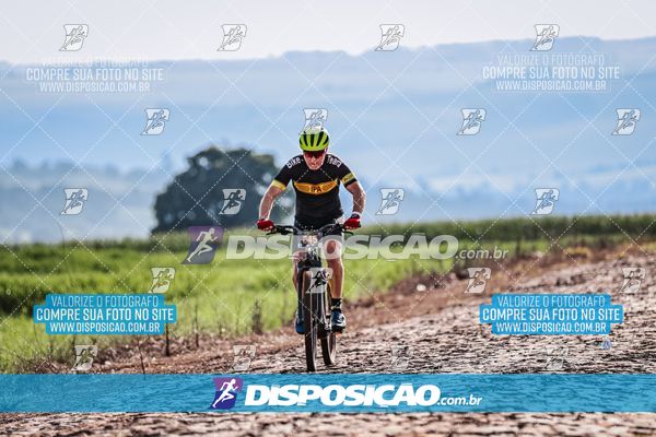 Foto 6807234