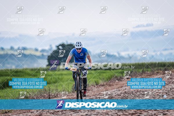 Foto 6807265