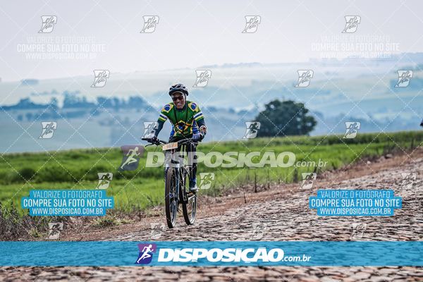 Foto 6807302