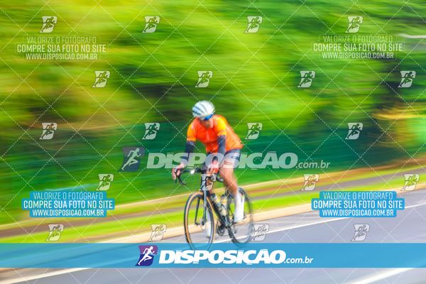 Foto 6760530