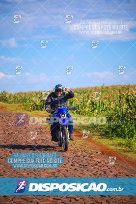 Foto 6785246