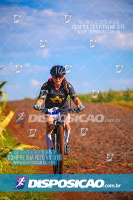 Foto 6785262