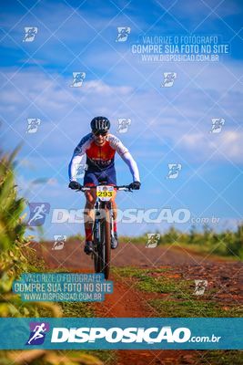 Foto 6785291