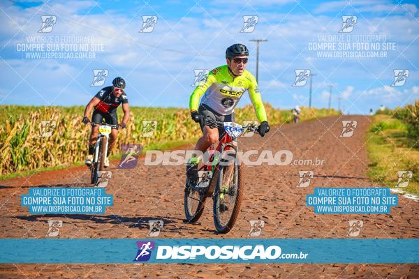 Foto 6785527