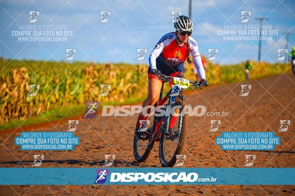 Foto 6785629