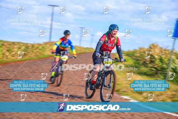Foto 6785763