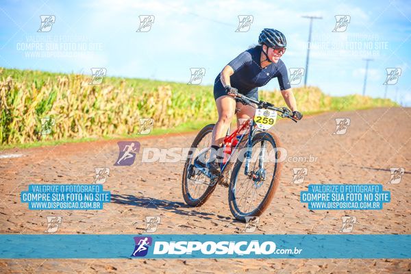 Foto 6785830