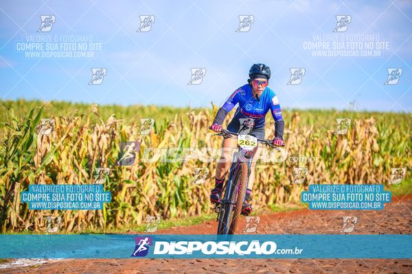 Foto 6785843
