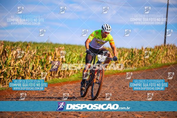 Foto 6786018