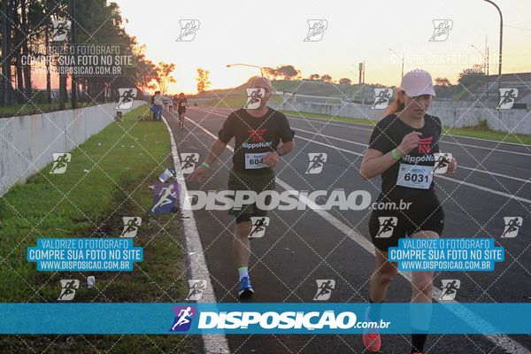 Foto 6770001