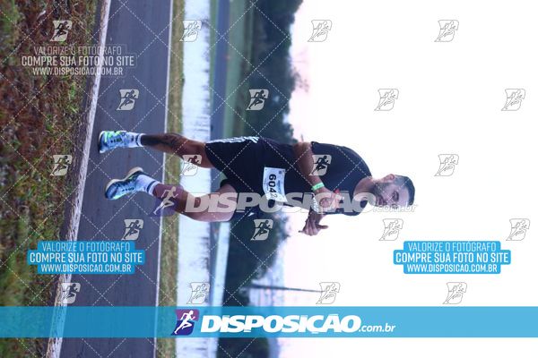 Foto 6804322