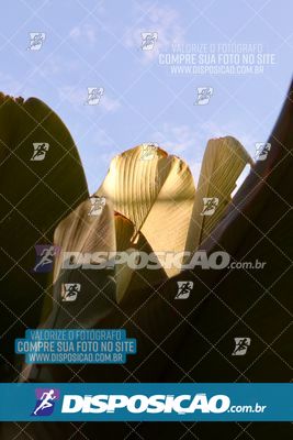 Foto 6806939