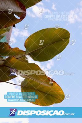 Foto 6806950