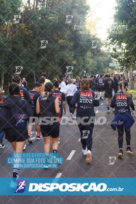 Foto 6787304