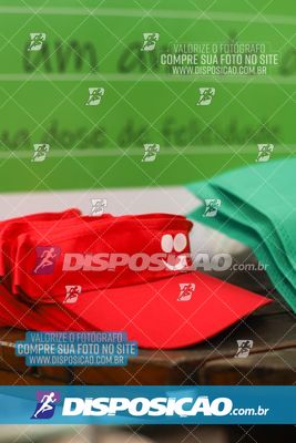 Foto 6786520