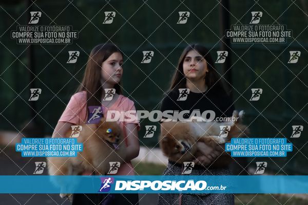 Foto 6813877