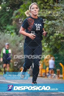 Foto 6811841