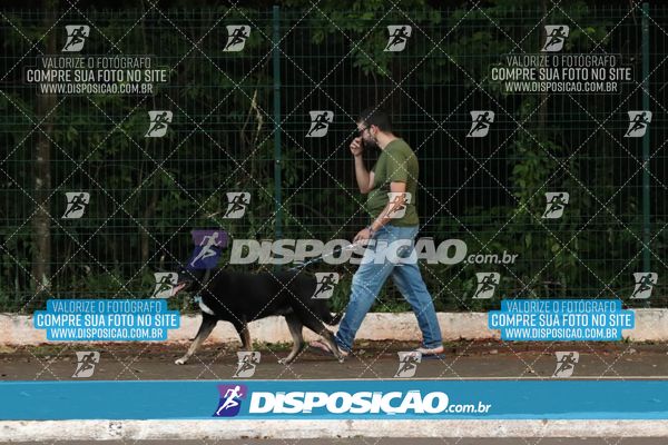 Foto 6814272
