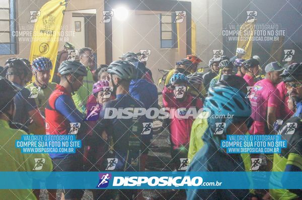 Foto 7054916