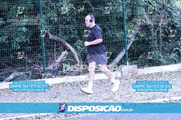 Foto 7053910