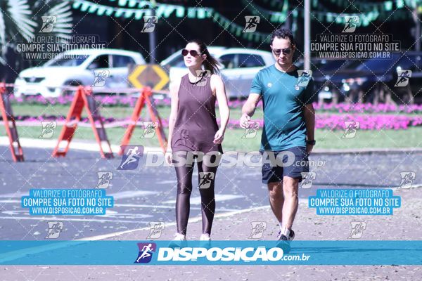 Foto 7053913