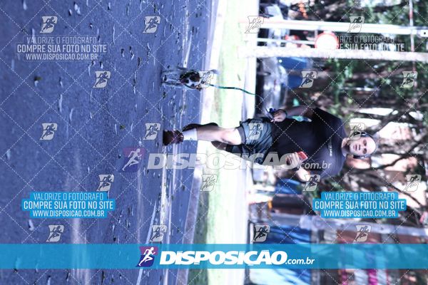 Foto 7053949