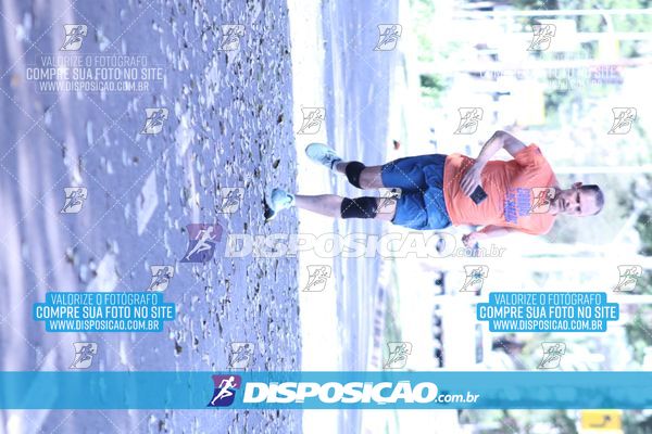Foto 7054075