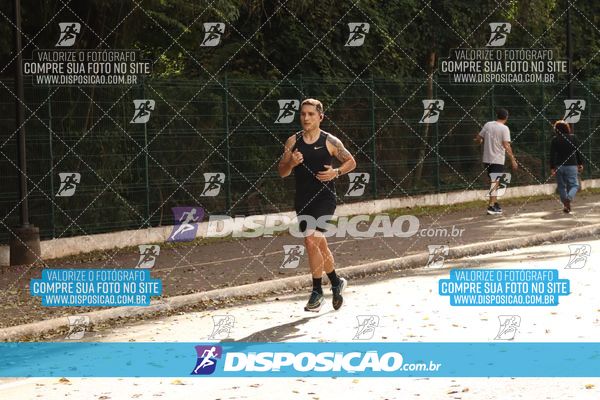 Foto 7052826