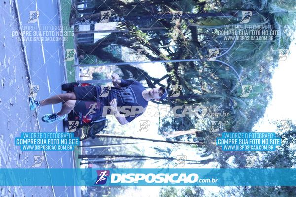 Foto 7094303
