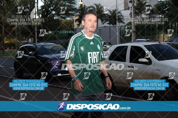 Foto 7094617