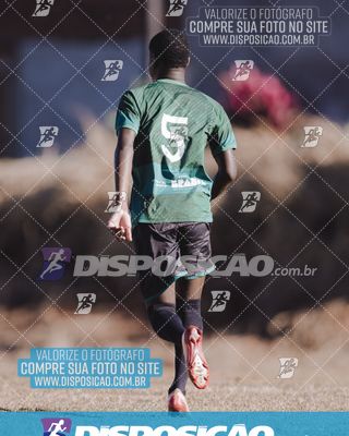 Foto 7095355