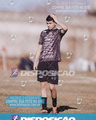 Foto 7095298