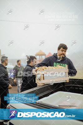 Foto 7102554