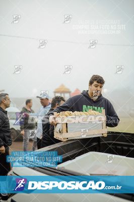 Foto 7102556