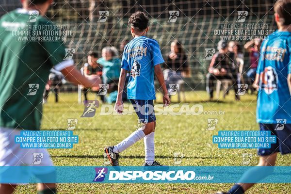 TORNEIO ARENA GOLD CAMISA 11/ MOLLA/ PALMEIRAS