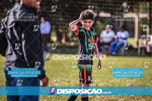 Foto 7105185