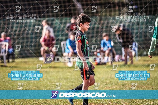 Foto 7105199