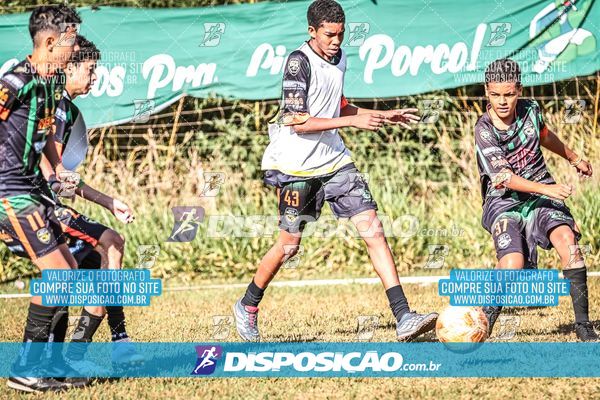 Foto 7105214