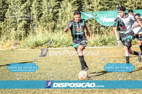 Foto 7105213