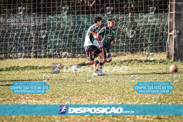 Foto 7105224