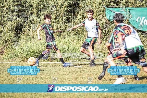 Foto 7105228