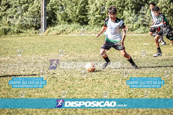 Foto 7105235