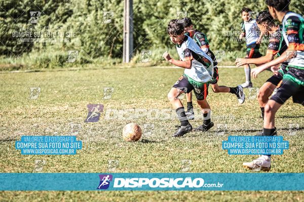 Foto 7105230