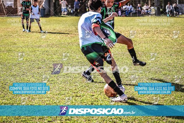 Foto 7105232